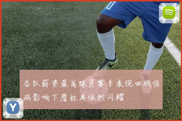 各队薪资最高球员赛季表现回顾伤病影响下詹杜库依然闪耀