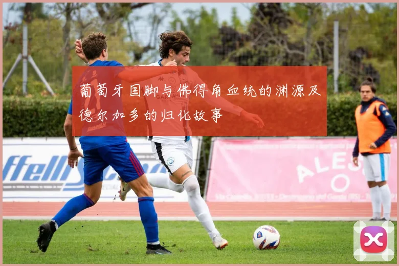 葡萄牙国脚与佛得角血统的渊源及德尔加多的归化故事