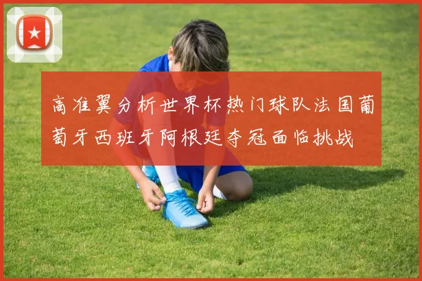 高准翼分析世界杯热门球队法国葡萄牙西班牙阿根廷夺冠面临挑战