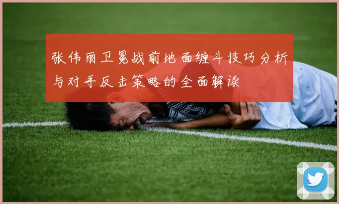 张伟丽卫冕战前地面缠斗技巧分析与对手反击策略的全面解读